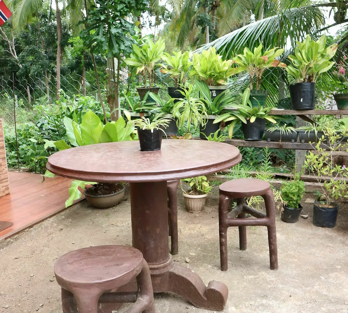** Pensionat Spirit Of Norway Hotell Panglao Filippinerna